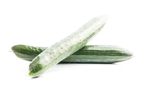 shutterstock 2291508003 jpg