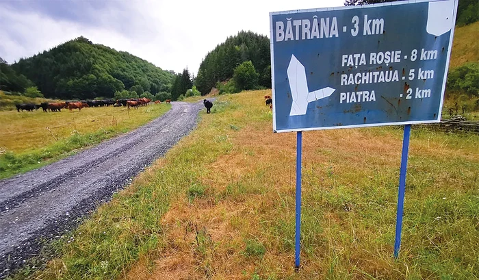 Drumul spre cătunele pustii ale comunei Bătrâna. Foto: Daniel Guţă