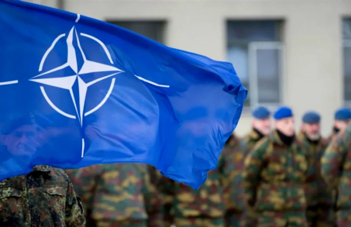SUA, partener solid în cadrul NATO FOTO: Adevărul (arhivă)