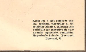 p 11 1008 t 11 Ciorapii Monica 1929 jpg