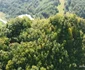 Cetatea dacică Bănița Foto Daniel Guță ADEVĂRUL (76) JPG