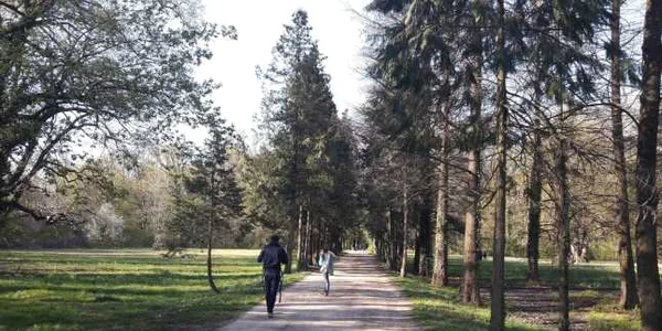 Parcul Ambrozy de la Bazoş FOTO Ştefan Both