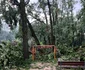 Furtuna a făcut ravagii / FOTO: Click!