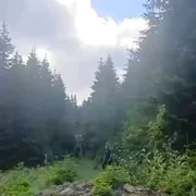 turişti polonezi şi jadarmi urs Calinami Jandarmeria Română mp4 thumbnail png