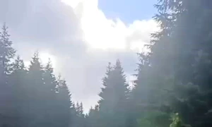 turişti polonezi şi jadarmi urs Calinami Jandarmeria Română mp4 thumbnail png