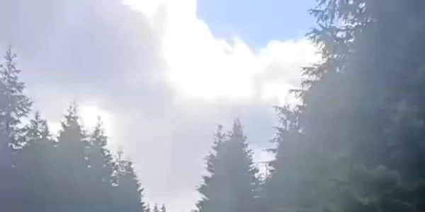 turişti polonezi şi jadarmi urs Calinami Jandarmeria Română mp4 thumbnail png