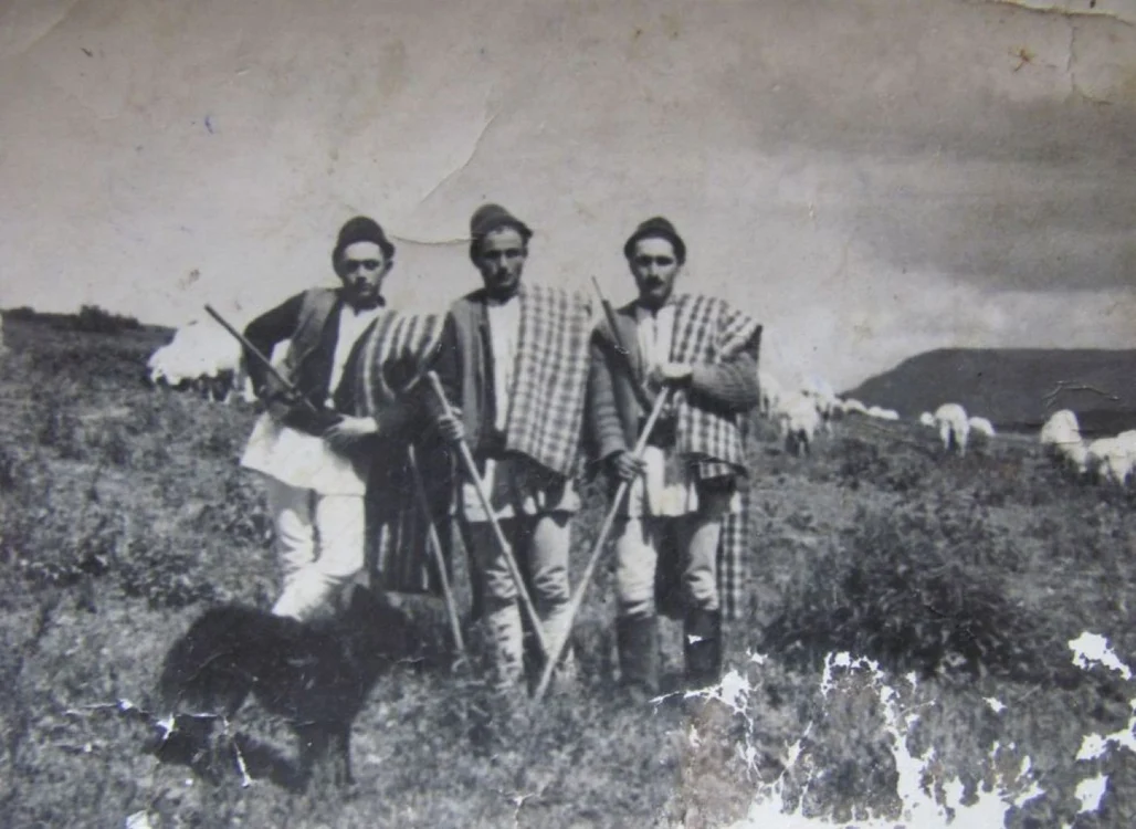 Transhumanţa cu oile a apărut ca urmare a iernilor aspre din Carpaţi, pe timp de iarnă/Sursa foto:colecţia personală Constantin Şufană