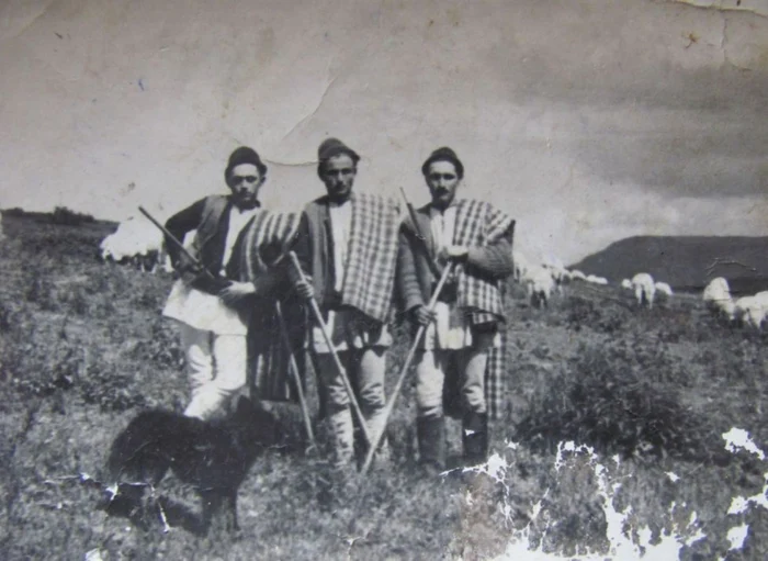 Transhumanţa cu oile a apărut ca urmare a iernilor aspre din Carpaţi, pe timp de iarnă/Sursa foto:colecţia personală Constantin Şufană