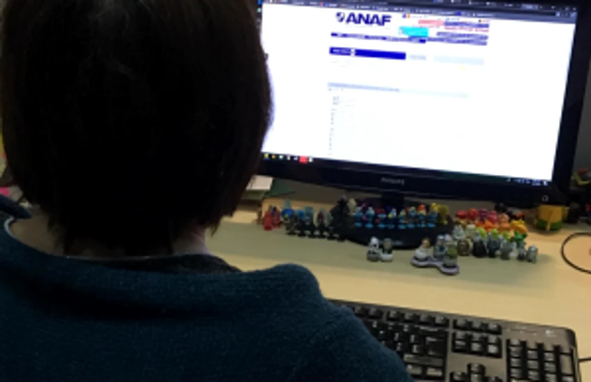 Site ANAF FOTO Adevarul 