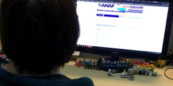 Site ANAF FOTO Adevarul 
