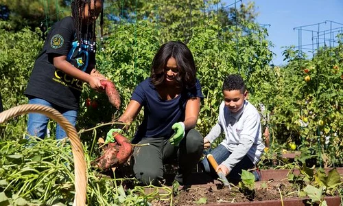 Michelle Obama recolta Casa Alba jpeg