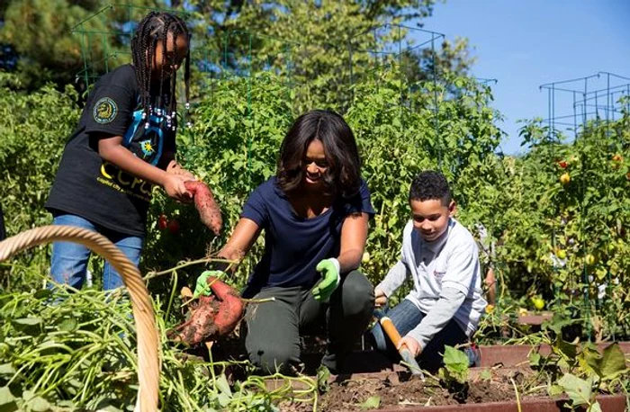 Michelle Obama recolta Casa Alba jpeg