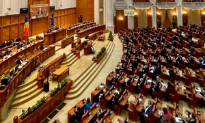 camera deputatilor. cdep.ro