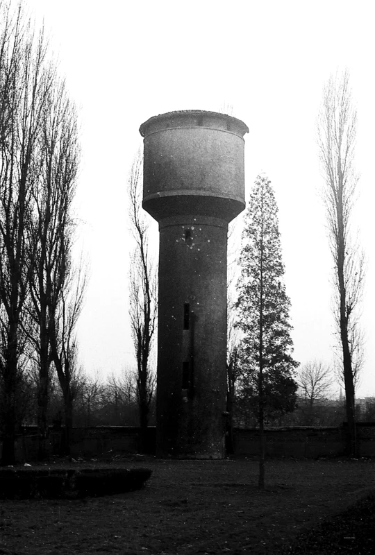 imagini inedite din timpul revolutiei din 1989 hunedoara foto muzeul castelului corvinilor