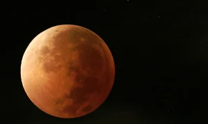 luna rosie jpeg