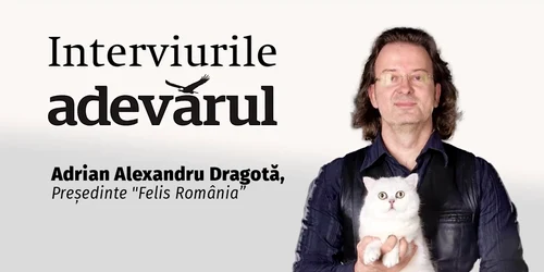 Și pisicile vor plăti TVA mărit mp4 thumbnail png