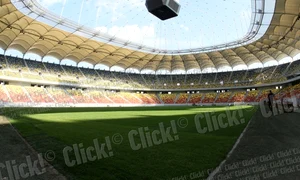 Gazon Arena Nationala jpeg
