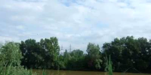 Satu Mare: Primăriile avertizate să meţină curăţenia pe cursurile de apă