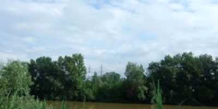 Satu Mare: Primăriile avertizate să meţină curăţenia pe cursurile de apă