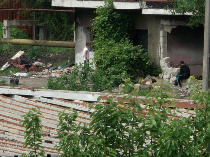 Cândva aici era MOPAL, parte dintre clădiri fiind dărâmate pentru a face loc ansamblului rezidenţial promis de cei de la Metropolis. Momentan hoţii de fier vechi se înfruptă din ce a mai rămas din fabrică FOTO: bundu.sunfoto.ro