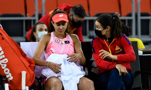 buzarnescu mihaela bhp 6845 jpeg