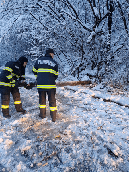 Copaci căzuți pe carosabil pe drumurile din Arad. Este Cod Galben de ninsori 