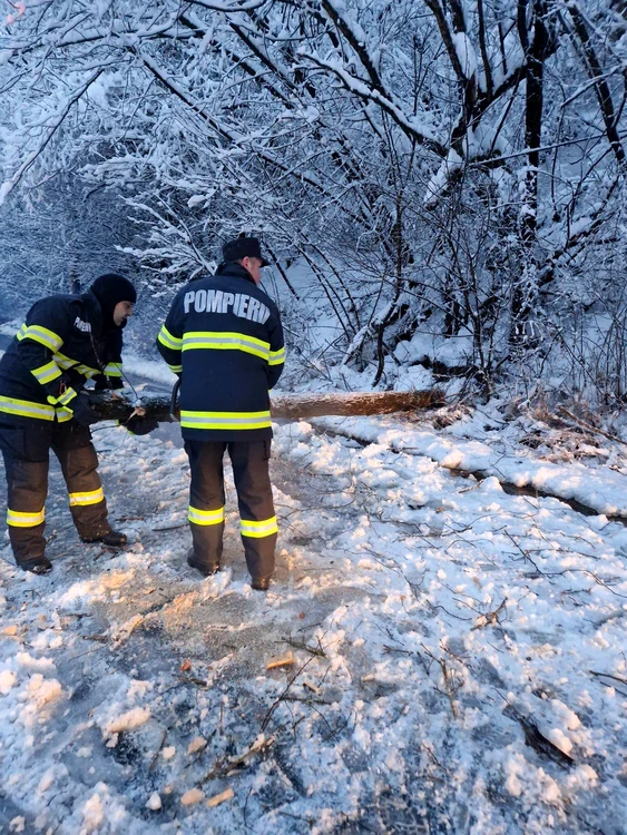 Pompierii arădeni intervin pentru degajarea drumului FOTO ISU Arad