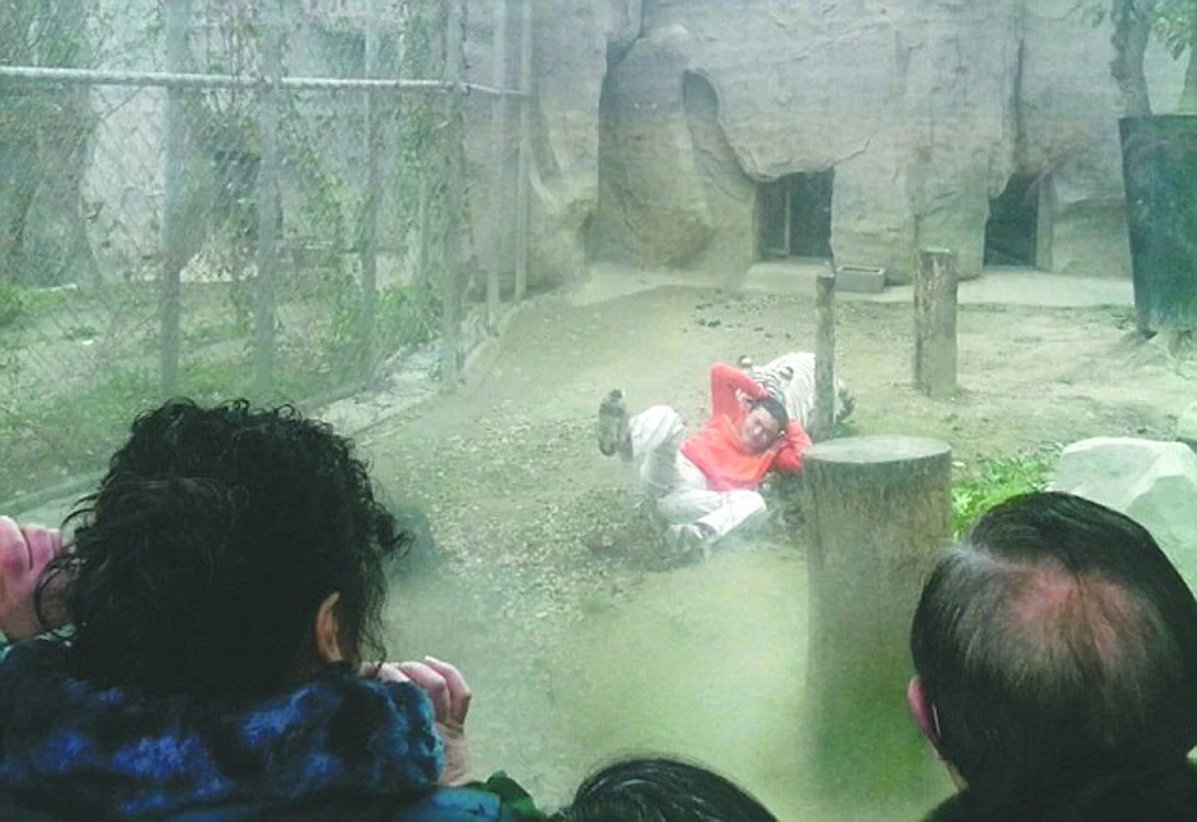 
    Animalele nu l-au mâncat  