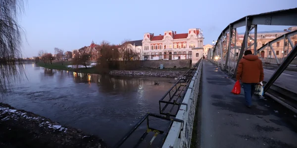 Orașul Lugoj  Foto Daniel Guță ADEVĂRUL (6) JPG