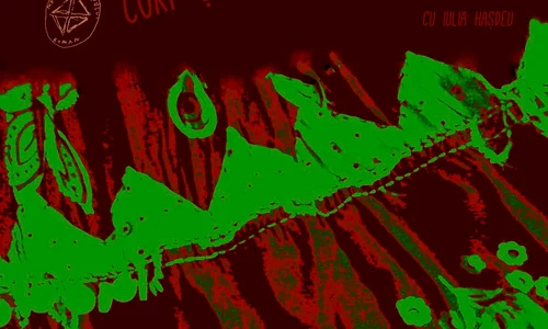 Conferinţă MŢR: «Corp și cultură, romi și gagii  O poveste despre femei» jpeg