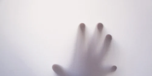 mana panica pixabay jpg