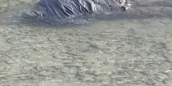 Trupul bărbatului a fost găsit de un localnic. Foto ISU Argeş