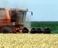Agricultura este baza economiei Republicii Moldova