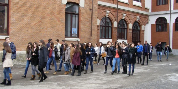 simulare cutremur