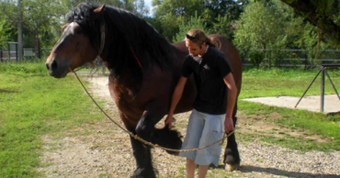 Suceava: ATV-uri şi echitaţie la Vatra Dornei