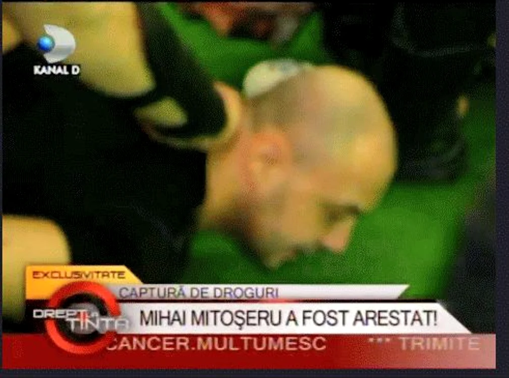 
    Mihai Mitoşeru  
