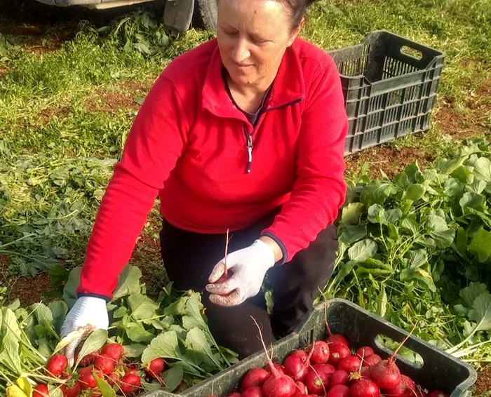 Magda Cristian, legumicultoare din Băleni. FOTO Facebook