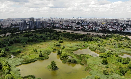 1 shutterstock 1183709719 jpg jpeg