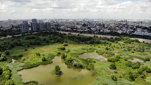 1 shutterstock 1183709719 jpg jpeg