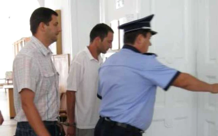 Alba Iulia: Închisoare cu suspendare pentru poliţistul care a luat şpagă doi miei