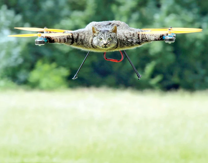 
    Foto: Guliver, Rexfeatures  