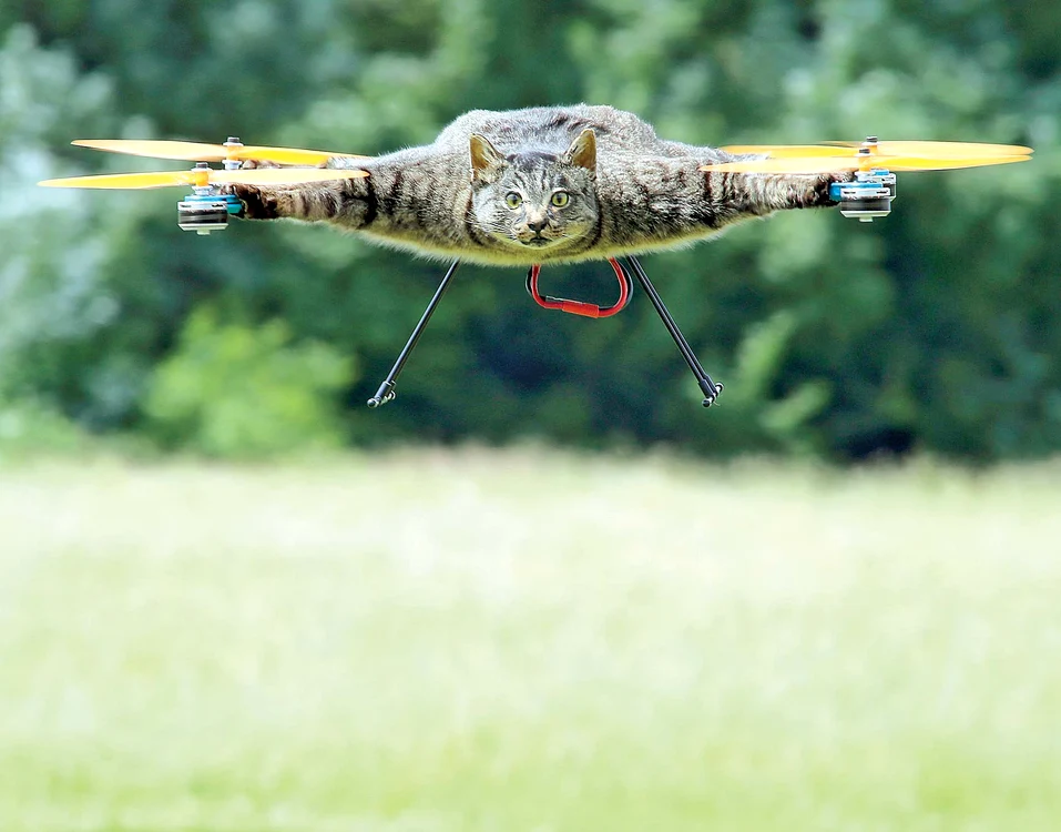 
    Foto: Guliver, Rexfeatures  