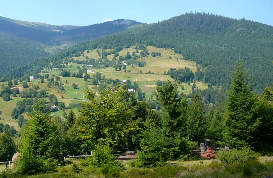 Valea Moașei jpeg