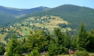 Valea Moașei jpeg