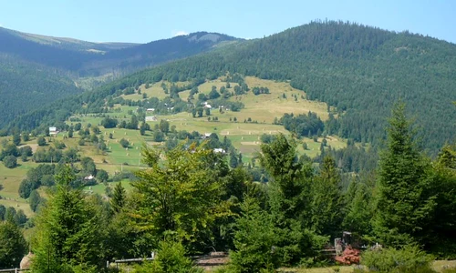 Valea Moașei jpeg