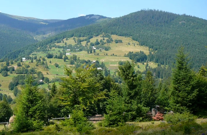 Valea Moașei jpeg
