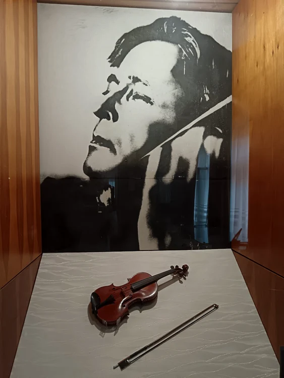 Vioara Bernardel foto de la Tescani (1) jpg