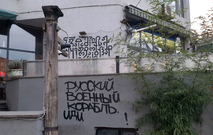 Grafiti în Tibilisi, Georgia împotriva războiului din Ucraina. FOTO: Facebook/Dedaena