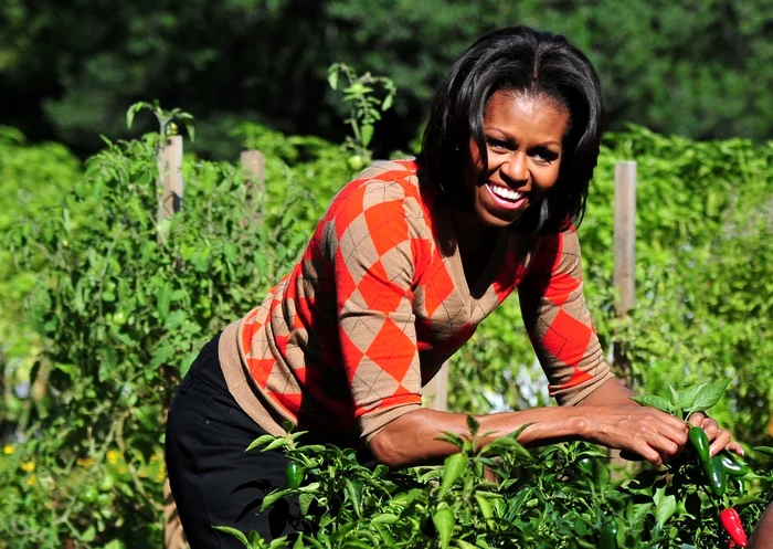 Michelle Obama împlineşte la 17 ianuarie vârsta de 55 de anifoto: Profimedia