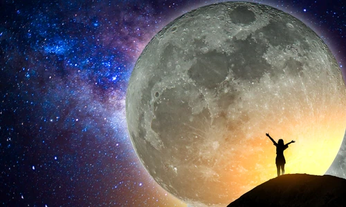 shutterstock 516496957 jpg